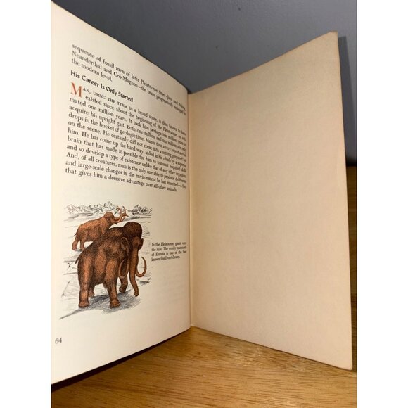 Prehistoric Life Bryan Patterson 1965 National Audubon Society Nature Program - Picture 10 of 10